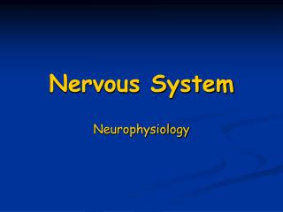 Nervous System