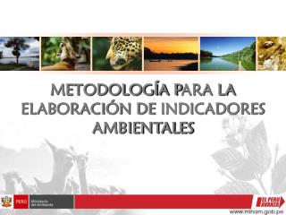 METODOLOGÍA P ARA LA ELABORACIÓN DE INDICADORES AMBIENTALES