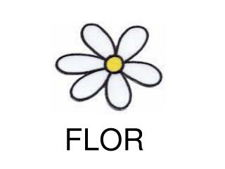 FLOR