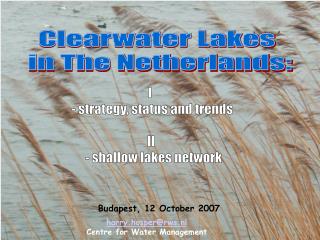 Clearwater Lakes in The Netherlands: