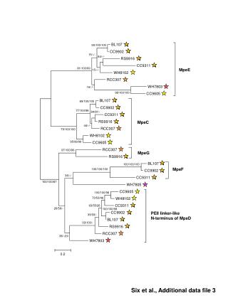 Six et al., Additional data file 3