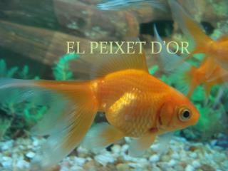 EL PEIXET D’OR