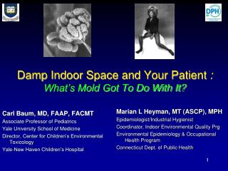 Damp Indoor Space and Your Patient : What’s Mold Got To Do With It?