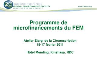 Programme de microfinancements du FEM