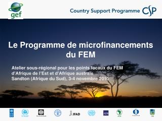 Le Programme de microfinancements du FEM