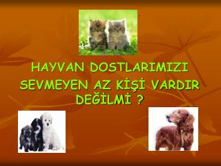 HAYVAN DOSTLARIMIZI SEVMEYEN AZ KİŞİ VARDIR DEĞİLMİ ?