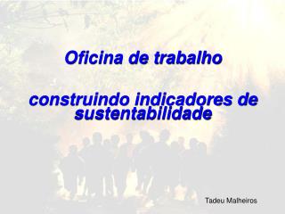 Oficina de trabalho construindo indicadores de sustentabilidade