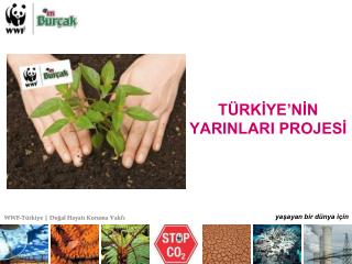 TÜRKİYE’NİN YARINLARI PROJESİ