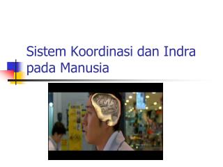 Sistem Koordinasi dan Indra pada Manusia