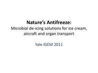 Nature’s Antifreeze: Microbial de-icing solutions for ice cream, aircraft and organ transport