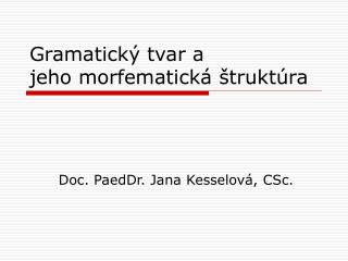 Gramatický tvar a jeho morfematická štruktúra