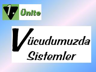 Her bir fotoğraf ya da resim size üniteyle ilgili neyi ifade ediyor?