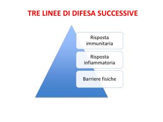 TRE LINEE DI DIFESA SUCCESSIVE