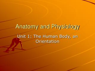 Anatomy and Physiology