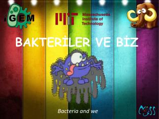 BAKTERİLER VE BİZ