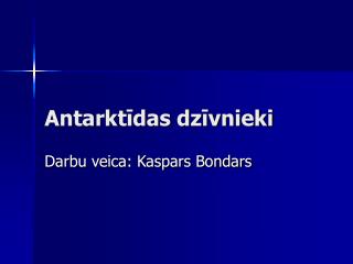 Antarktīdas dzīvnieki