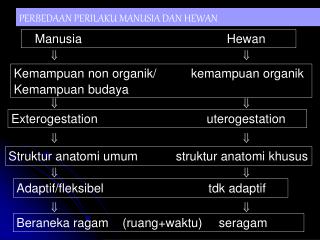 PERBEDAAN PERILAKU MANUSIA DAN HEWAN