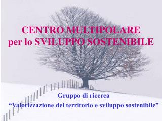 CENTRO MULTIPOLARE per lo SVILUPPO SOSTENIBILE