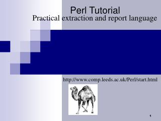 Perl Tutorial