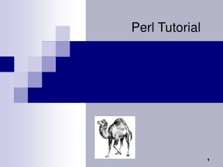 Perl Tutorial