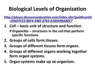 Biological Levels of Organization