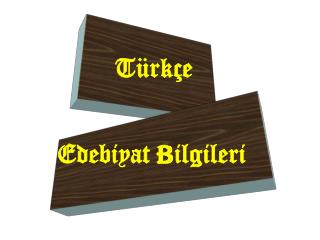 Türkçe