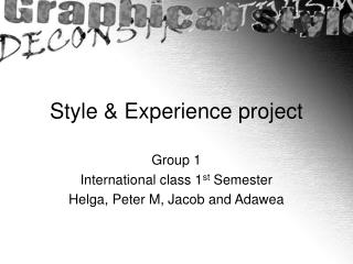 Style &amp; Experience project