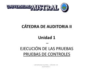 CÁTEDRA DE AUDITORIA II Unidad 1 – EJECUCIÓN DE LAS PRUEBAS PRUEBAS DE CONTROLES