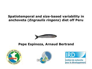 Spatiotemporal and size-based variability in anchoveta ( Engraulis ringens ) diet off Peru