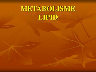 METABOLISME LIPID