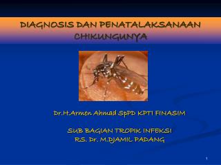 DIAGNOSIS DAN PENATALAKSANAAN CHIKUNGUNYA