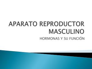 APARATO REPRODUCTOR MASCULINO