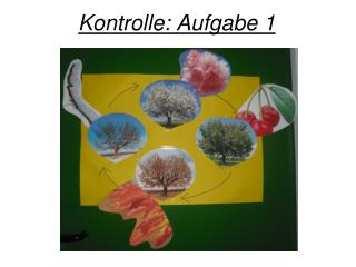 Kontrolle: Aufgabe 1