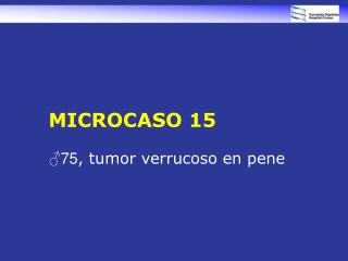 MICROCASO 15