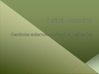 Se divide en 4 partes: Preprostática Prostática Intermedia (Membranosa) Esponjosa