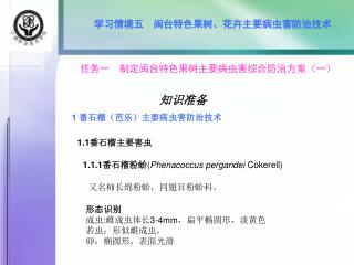 学习情境五 闽台特色果树、花卉主要病虫害防治技术