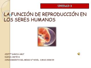 LA FUNCIÓN DE REPRODUCCIÓN EN LOS SERES HUMANOS