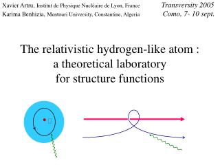 The relativistic hydrogen-like atom : a theoretical laboratory for structure functions