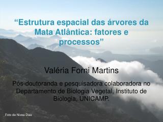 “ Estrutura espacial das árvores da Mata Atlântica: fatores e processos ” Valéria Forni Martins