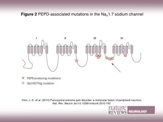 Figure 2 PEPD-associated mutations in the Na V 1.7 sodium channel