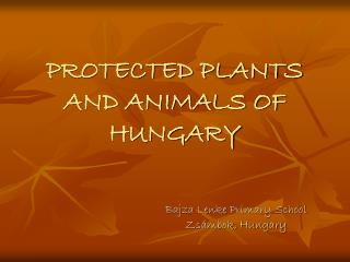 PROTECTED PLANTS AND ANIMALS OF HUNGARY