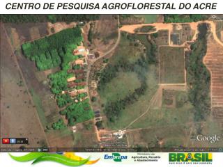 CENTRO DE PESQUISA AGROFLORESTAL DO ACRE