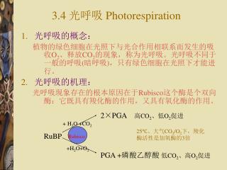 3.4 光呼吸 Photorespiration