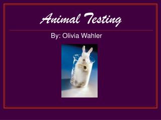 Animal Testing