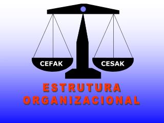 ESTRUTURA ORGANIZACIONAL