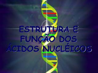 ESTRUTURA E FUNÇÃO DOS ÁCIDOS NUCLÉICOS