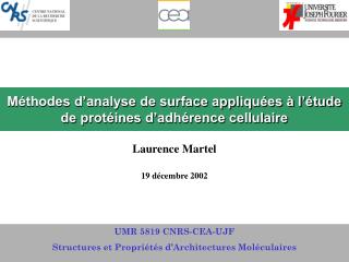 Méthodes d’analyse de surface appliquées à l’étude de protéines d’adhérence cellulaire