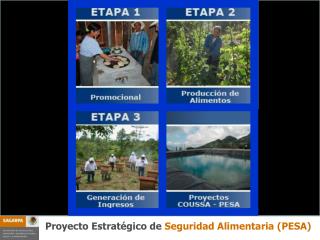 Proyecto Estratégico de Seguridad Alimentaria (PESA)