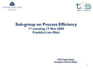 Sub-group on Process Efficiency 1 st meeting, 17 Nov 2008 Frankfurt am Main