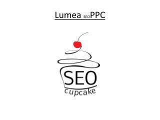 Lumea SEO PPC